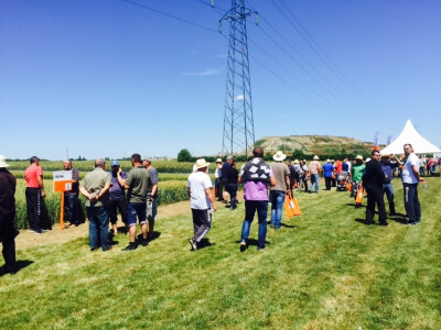 KWS Centralni Dan polja