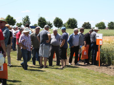 KWS Centralni Dan polja