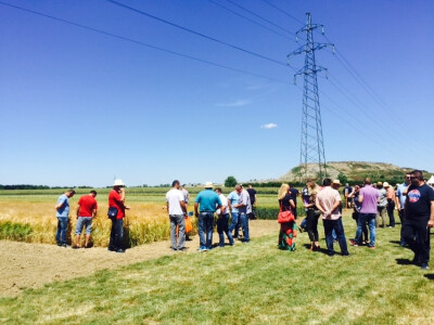 KWS Centralni Dan polja