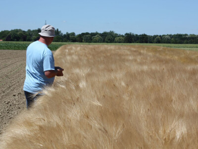 KWS Centralni Dan polja