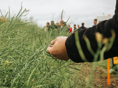 KWS Centralni dan polja