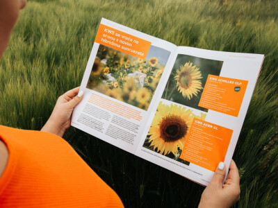 KWS Centralni dan polja