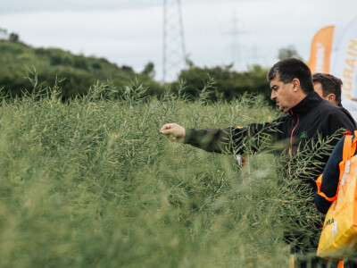 KWS Centralni dan polja