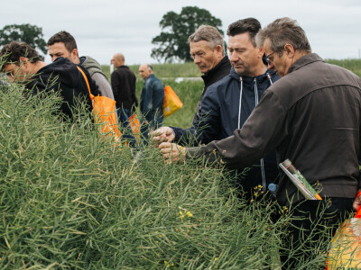 KWS Centralni dan polja