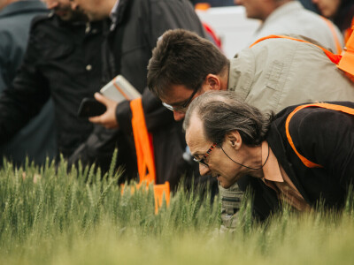 KWS Centralni dan polja