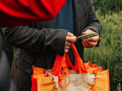 KWS Centralni dan polja