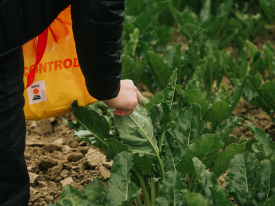 KWS Centralni dan polja