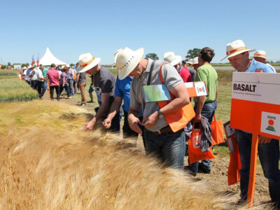 KWS Centralni Dan polja