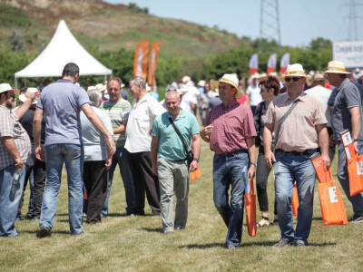 KWS Centralni Dan polja