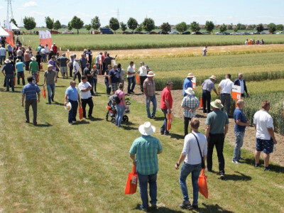 KWS Centralni Dan polja