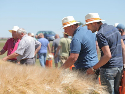 KWS Centralni Dan polja