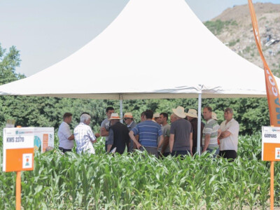 KWS Centralni Dan polja