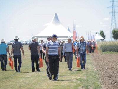 KWS Centralni Dan polja