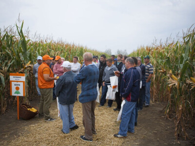 KWS Dan polja u Bečeju