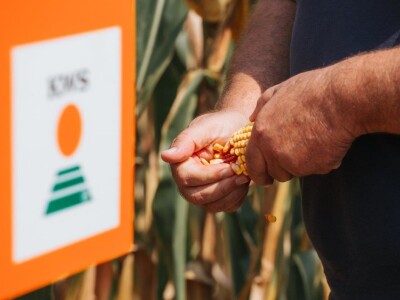 KWS - Dan polja kukuruza u Brckovljanima 2018