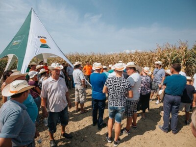 KWS - Dan polja kukuruza u Brckovljanima 2018