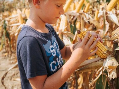 KWS - Dan polja kukuruza u Brckovljanima 2018