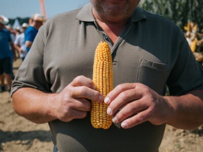 KWS - Dan polja kukuruza u Brckovljanima 2018