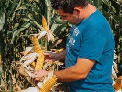 KWS - Dan polja kukuruza u Brckovljanima 2018