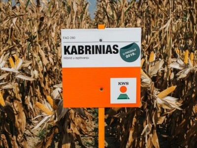 KWS - Dan polja kukuruza u Brckovljanima 2018