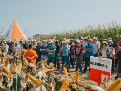 KWS - Dan polja kukuruza u Brckovljanima 2018