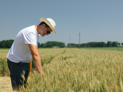 KWS Dan polja u Subotici Podravskoj