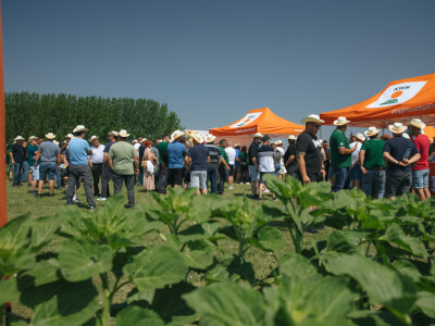 KWS Dan polja u Subotici Podravskoj