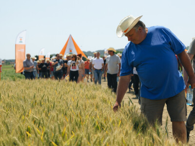 KWS Dan polja u Subotici Podravskoj