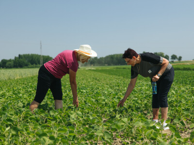KWS Dan polja u Subotici Podravskoj