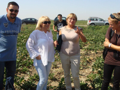 Dan polja KWS šećerne repe