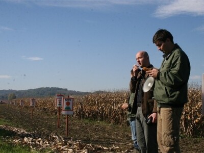 KWS Dani polja kukuruza - Suhopolje