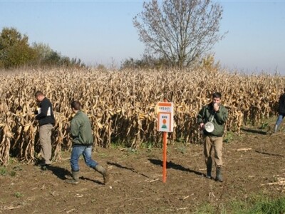 KWS Dani polja kukuruza - Suhopolje