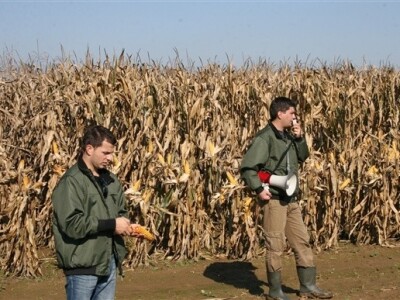 KWS Dani polja kukuruza - Suhopolje