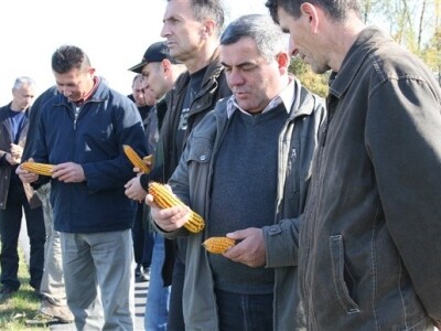 KWS Dani polja kukuruza - Suhopolje