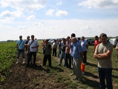 Puno zainteresiranih došlo je vidjeti pokusne sorte