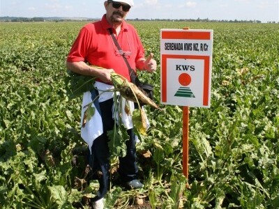 Gospodin Pavošević i KWS Serenada