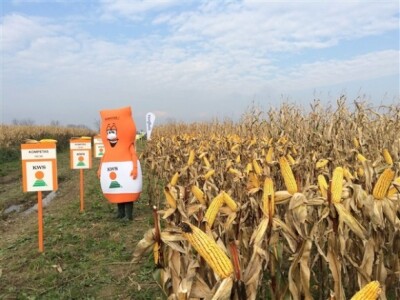 KWS na Danima polja u Topolju! KWS na Danima polja u Topolju!