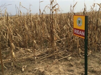 KWS na Danima polja u Topolju! KWS na Danima polja u Topolju!