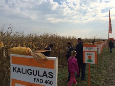 KWS na Danima polja u Topolju! KWS na Danima polja u Topolju!