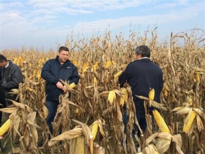 KWS na Danima polja u Topolju! KWS na Danima polja u Topolju!