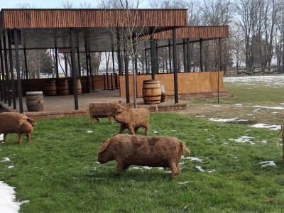 KWS i Danon predstavili svoj proizvodni program za 2019. godinu!