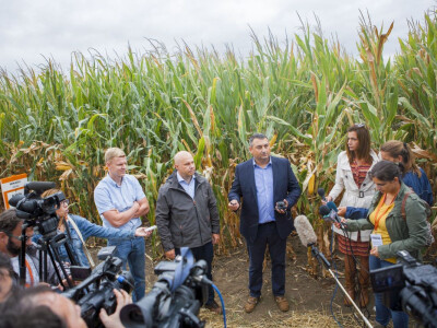 KWS Dan polja u Bečeju