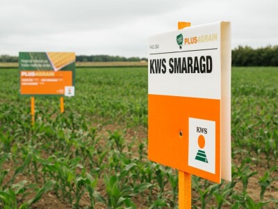 KWS PLUS4GRAIN