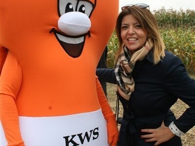 KWS premijera novih hibrida kukuruza!