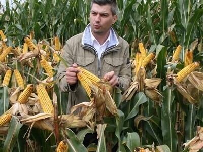 Domagoj Milas predstavlja novi hibrid