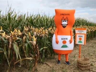 KWS premijera novih hibrida kukuruza!