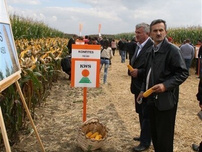KWS premijera novih hibrida kukuruza!