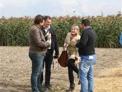 KWS premijera novih hibrida kukuruza!