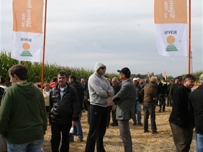 KWS premijera novih hibrida kukuruza!