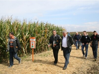 KWS premijera novih hibrida kukuruza!